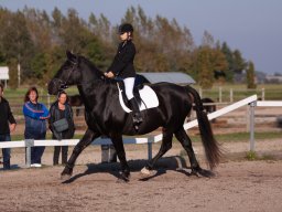 IMG_7303_web